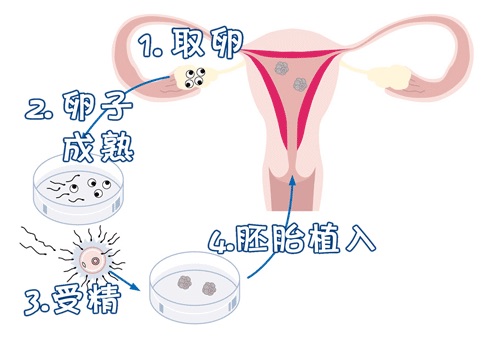 承济医学中心